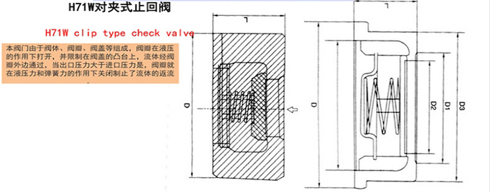 對夾式止回閥
